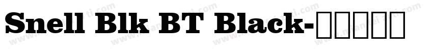 Snell Blk BT Black字体转换